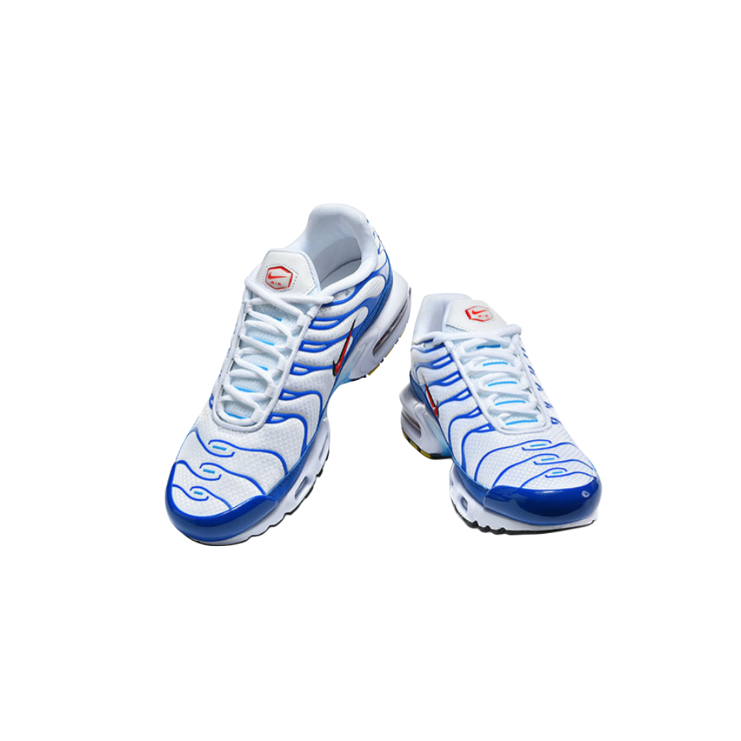 Nike Air Max Plus