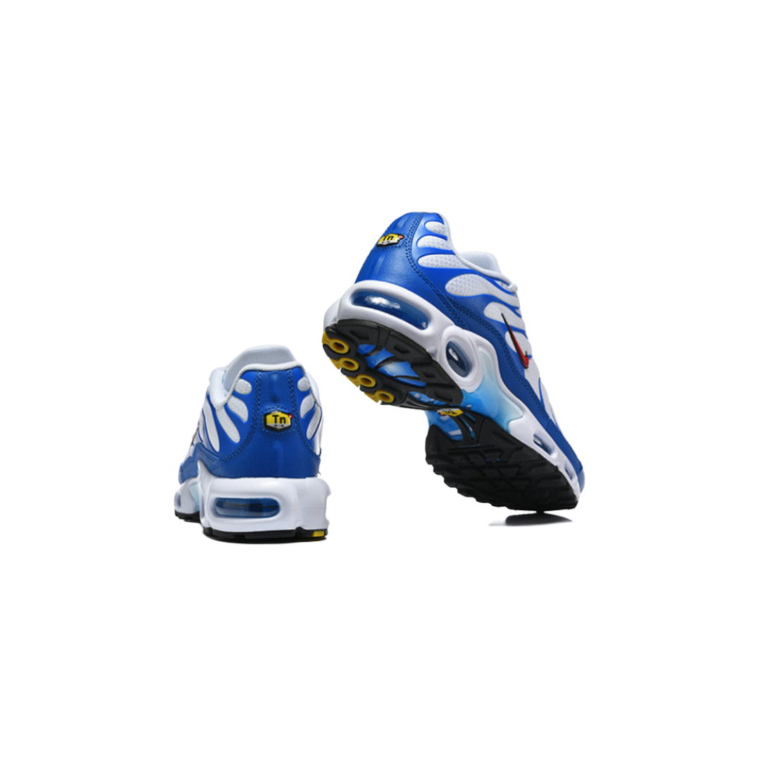 Nike Air Max Plus